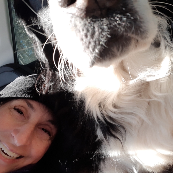 Meet your Posher, Carolyn - Picture 1 of 2